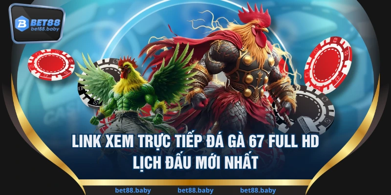 Link Xem Trực Tiếp Đá Gà 67 Full HD & Lịch Đấu Mới Nhất