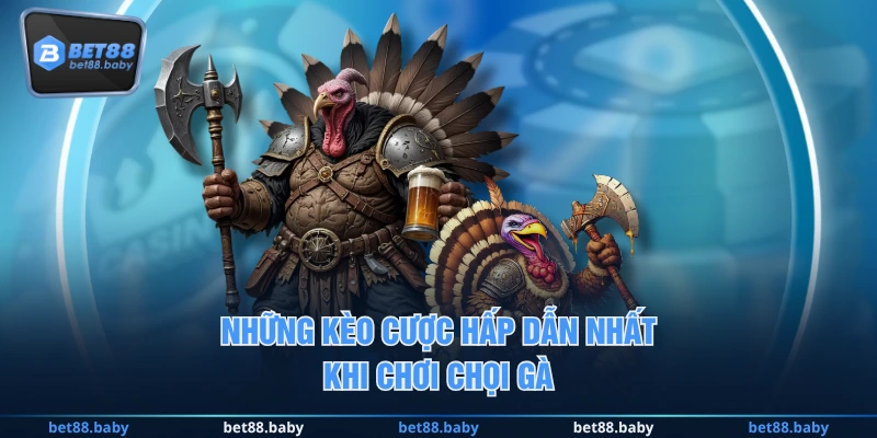 Những kèo cược hấp dẫn nhất khi chơi chọi gà