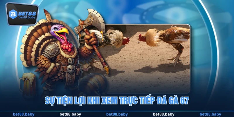 Sự tiện lợi khi xem trực tiếp đá gà 67