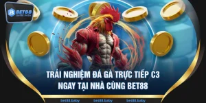 Trải Nghiệm Đá Gà Trực Tiếp C3 Ngay Tại Nhà Cùng BET88