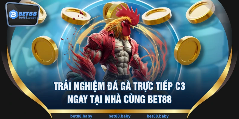 Trải Nghiệm Đá Gà Trực Tiếp C3 Ngay Tại Nhà Cùng BET88